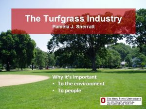 The Turfgrass Industry Pamela J Sherratt Why its