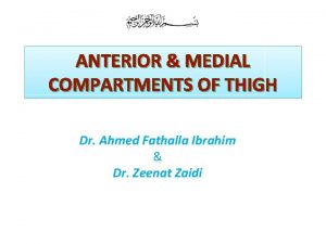 ANTERIOR MEDIAL COMPARTMENTS OF THIGH Dr Ahmed Fathalla