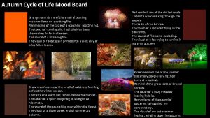 Autumn Cycle of Life Mood Board Orange reminds