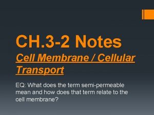 CH 3 2 Notes Cell Membrane Cellular Transport