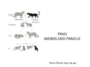 PRVO MENDELOVO PRAVILO Nikola karid mag ing agr