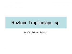 Roztoi Tropilaelaps sp MVDr Eduard Dvok Tropilaelaps clareae