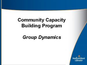 Community Capacity Building Program Group Dynamics Group Dynamics