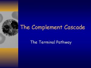 The Complement Cascade The Terminal Pathway Complement The