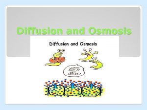 Diffusion and Osmosis Cell membrane selectivelysemi permeable which