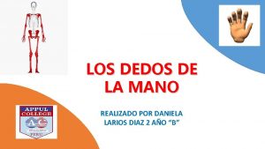 LOS DEDOS DE LA MANO REALIZADO POR DANIELA