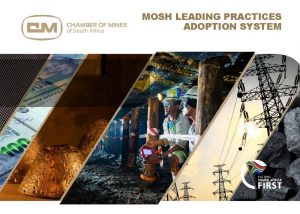 MOSH LEADING PRACTICES ADOPTION SYSTEM PAGE Contents 1