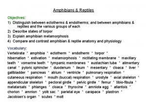 Amphibians Reptiles Objectives 1 Distinguish between ectotherms endotherms