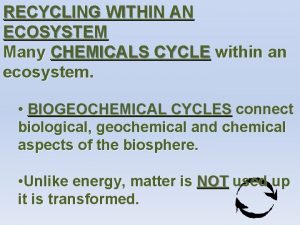 RECYCLING WITHIN AN ECOSYSTEM Many CHEMICALS CYCLE within