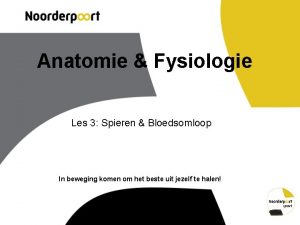 Anatomie Fysiologie Les 3 Spieren Bloedsomloop In beweging