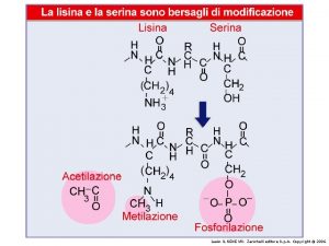 Lewin IL GENE VIII Zanichelli editore S p