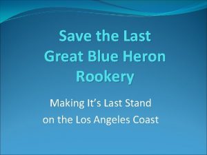 Save the rookery