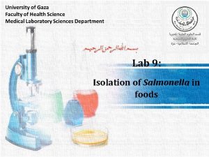 Lab 9 Isolation of Salmonella in foods Salmonella