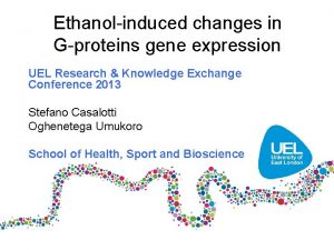 Ethanolinduced changes in Gproteins gene expression UEL Research