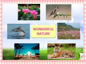 WONDERFUL NATURE READING Wonderful nature INVENTIONS INSPIRED BY