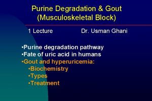 Purine Degradation Gout Musculoskeletal Block 1 Lecture Dr