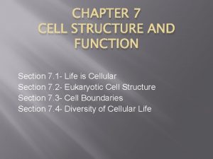 Section 7-1 life is cellular