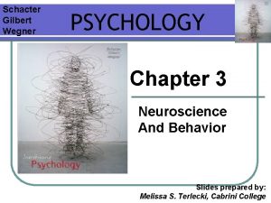 Schacter Gilbert Wegner PSYCHOLOGY Chapter 3 Neuroscience And