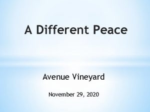 A Different Peace Avenue Vineyard November 29 2020