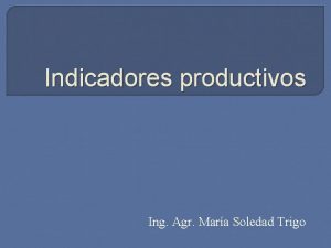 Indicadores productivos Ing Agr Mara Soledad Trigo ndices