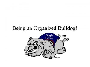 Bogle bulldogs