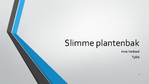 Slimme plantenbak Arne Verbiest T 3 EI 6