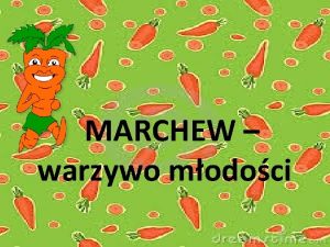 MARCHEW warzywo modoci Marchewka liczy ju sobie ponad