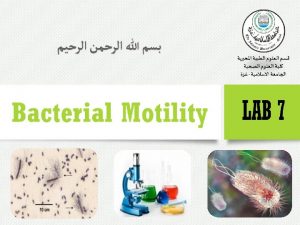 Bacterial Motility v The ability of an organism