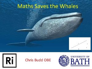 Maths Saves the Whales Chris Budd OBE Who