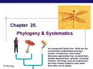 Chapter 25 Phylogeny Systematics AP Biology An unexpected
