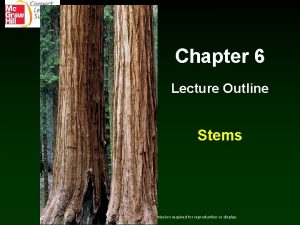 Chapter 6 Lecture Outline Stems Copyright The Mc