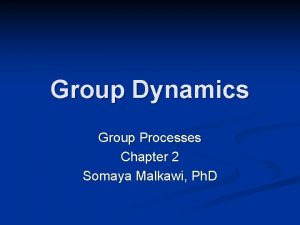 Group Dynamics Group Processes Chapter 2 Somaya Malkawi