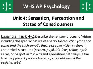 Color blindness ap psychology