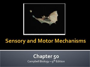 Sensory and Motor Mechanisms Chapter 50 Campbell Biology