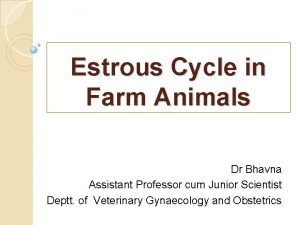 Estrous Cycle in Farm Animals Dr Bhavna Assistant