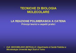 TECNICHE DI BIOLOGIA MOLECOLARE LA REAZIONE POLIMERASICA A