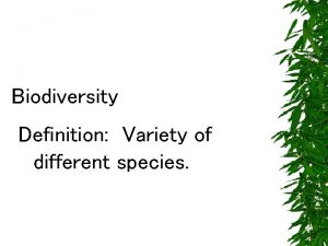 Biodiversity Definition Variety of different species Species Diversity