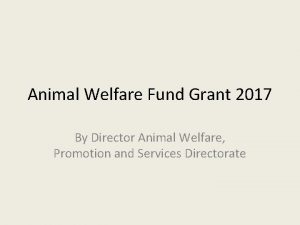 Animal Welfare Fund Grant 2017 By Director Animal