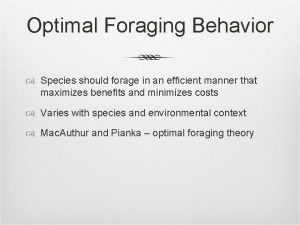 Optimal Foraging Behavior Species should forage in an