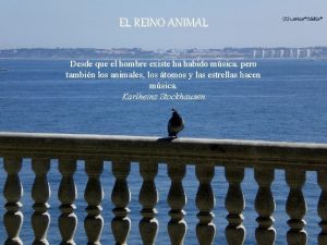 EL REINO ANIMAL Desde que el hombre existe