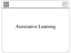 13 Associative Learning 1 13 Simple Associative Network