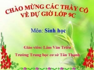 Mn Sinh hc Gio vin Lm Vn Triu