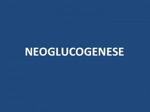 NEOGLUCOGENESE PLAN I Introduction II Intrt biomdical III