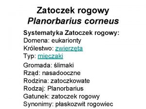 Zatoczek rogowy Planorbarius corneus Systematyka Zatoczek rogowy Domena