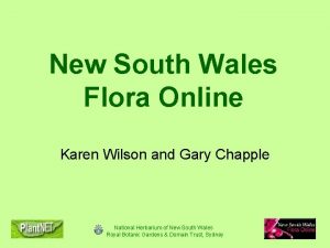 Nsw flora online