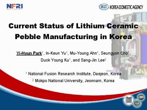 Current Status of Lithium Ceramic Pebble Manufacturing in