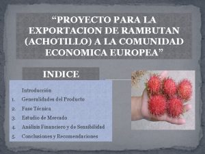 PROYECTO PARA LA EXPORTACION DE RAMBUTAN ACHOTILLO A