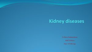 Kidney diseases Dr Manoj Radhakrishnan Addl Professor Dept