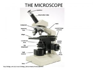 THE MICROSCOPE http biology unm educcouncilBiology203SummariesMicroscopes htm How