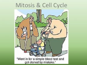 Mitosis Cell Cycle Cell Division Why When How